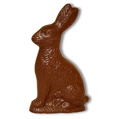 Name:  chocolate_bunny.jpg
Views: 512
Size:  35.9 KB