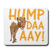 Name:  hump day 3.jpg
Views: 314
Size:  6.4 KB