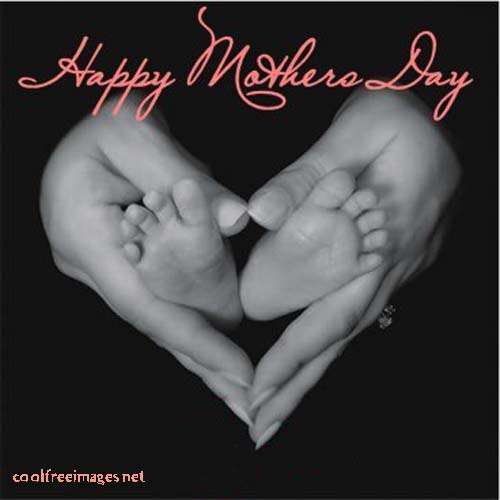 Name:  mothers_day_03.jpg
Views: 257
Size:  32.8 KB