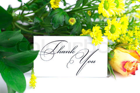 Name:  1710058-593442-rose-wild-flowers-and-a-card-signed-thank-you-isolated-on-white.jpg
Views: 661
Size:  28.7 KB