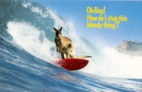 Name:  Surfing kangaroos.jpg
Views: 115
Size:  8.3 KB