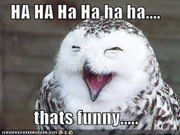 Name:  owl laughing.jpg
Views: 242
Size:  11.0 KB