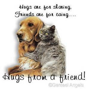 Name:  friend hug.jpeg
Views: 148
Size:  16.5 KB