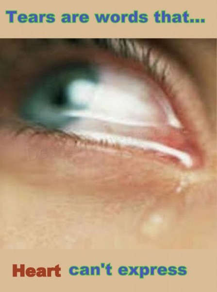 Name:  tears-are-words.jpg
Views: 126
Size:  19.0 KB