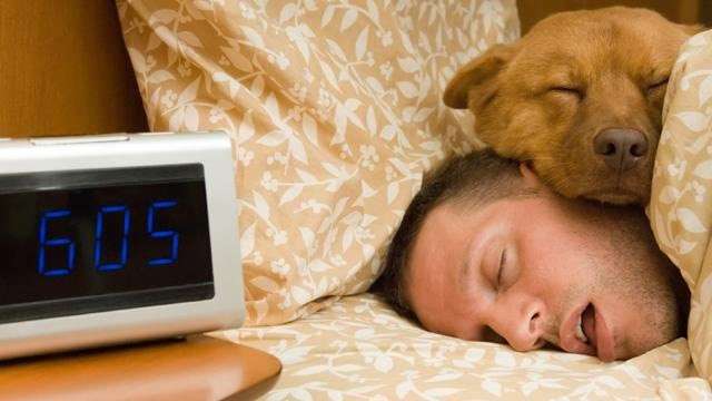 Name:  man-sleeping-in-bed-with-dog-on-his-head.jpg
Views: 528
Size:  26.9 KB
