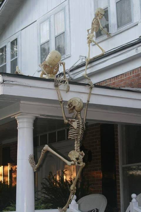 Name:  skeletons breaking into home.jpg
Views: 171
Size:  41.7 KB
