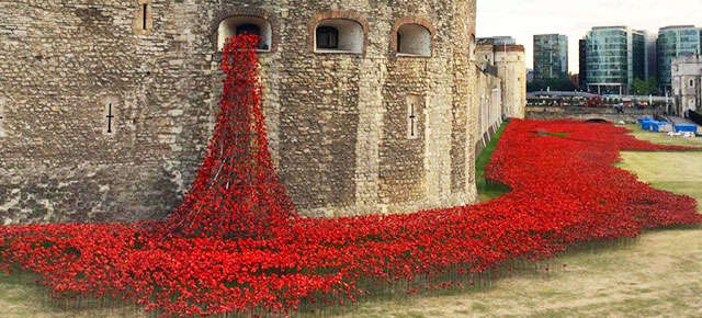 Name:  ceramic-poppies-installation-first-world-war-london-tower-thumb640.jpg
Views: 248
Size:  50.5 KB