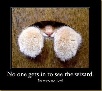 Name:  caturday19_thumb[1].jpg
Views: 1196
Size:  32.7 KB