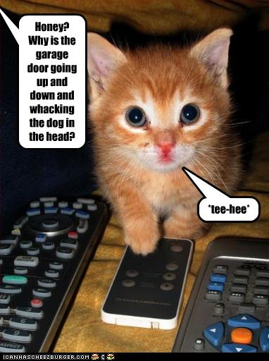 Name:  kitty-remote2.jpg
Views: 140
Size:  36.1 KB