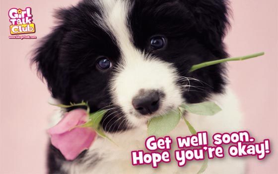 Name:  Hope-you-Get-Well-Soon-yorkshire_rose-12721137-560-350.jpg
Views: 1930
Size:  30.1 KB