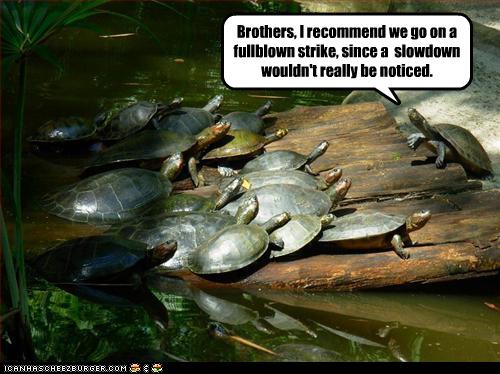Name:  funny-pictures-turtles-will-strike.jpg
Views: 340
Size:  41.5 KB
