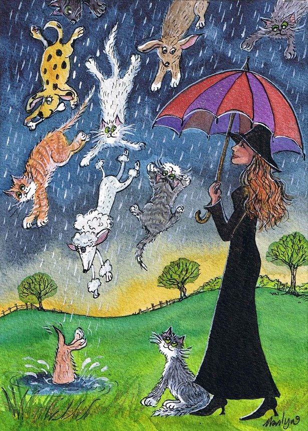 Name:  raining-cats-and-dogs.jpg
Views: 284
Size:  283.0 KB