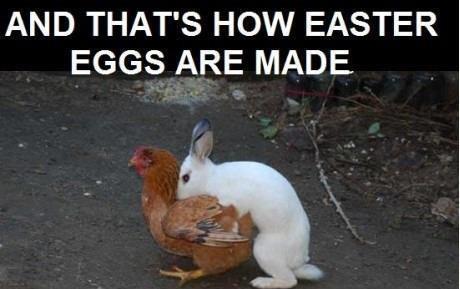 Name:  Easter-eggs (1).jpg
Views: 170
Size:  23.3 KB