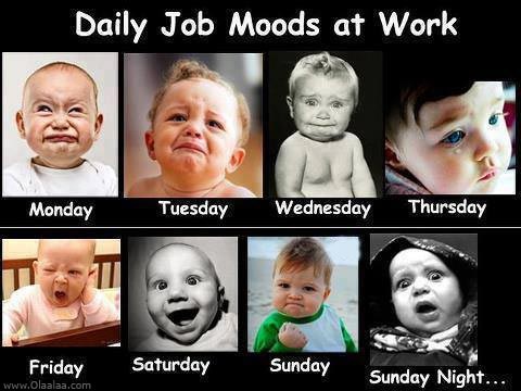 Name:  funny-daily-job-moods-at-work-sunday-saturday-picures.jpg
Views: 576
Size:  52.1 KB