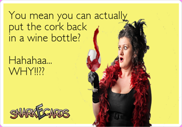 Name:  drinking-wine-and-putting-the-cork-back-in-it.png
Views: 337
Size:  254.6 KB