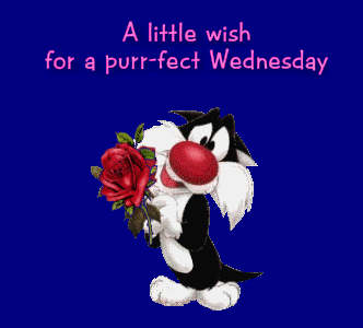 Name:  wednesday_4.gif
Views: 190
Size:  20.0 KB