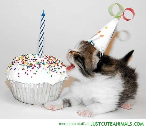 Name:  cute-animals-birthday-cat-kitten-party-hat-cake-pics.jpg
Views: 388
Size:  21.3 KB