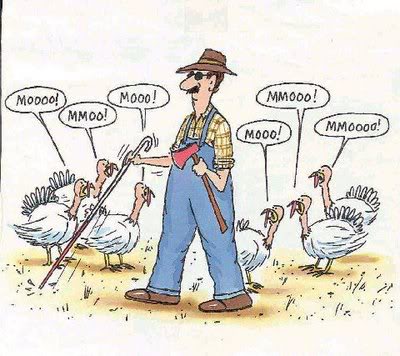 Name:  happy_thanksgiving_007.jpg
Views: 187
Size:  37.6 KB
