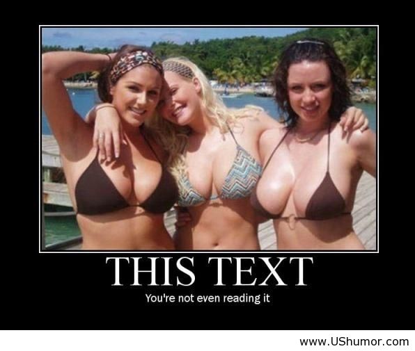Name:  funny-new-year-picture.jpg
Views: 3296
Size:  38.3 KB