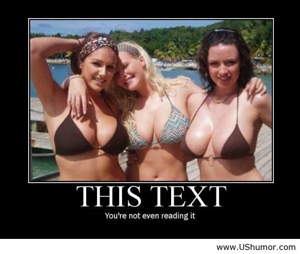 Name:  funny-new-year-picture.jpg
Views: 3352
Size:  38.3 KB