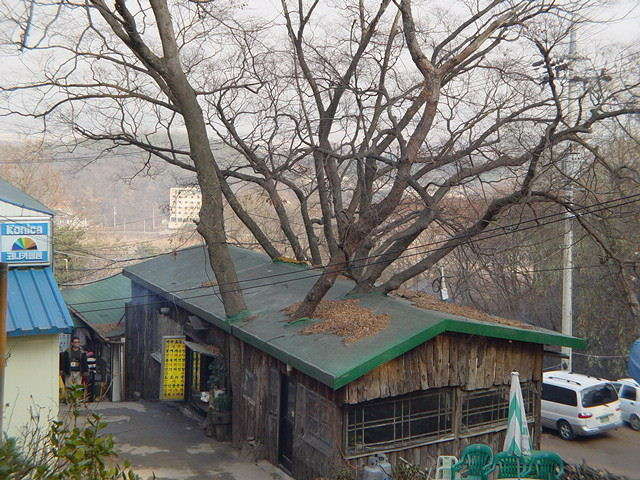 Name:  ATT00054.jpg
Views: 192
Size:  77.2 KB