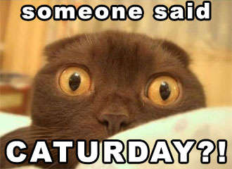 Name:  080705-someone-said-caturday.jpg
Views: 167
Size:  15.8 KB