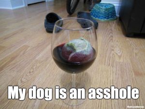 Name:  ball-in-wine-glass.jpg
Views: 119
Size:  14.5 KB