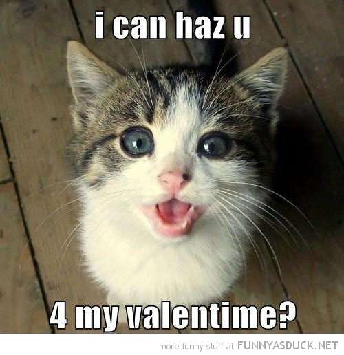Name:  funny-cute-cat-kitten-can-has-you-valentine-pics.jpg
Views: 251
Size:  30.9 KB