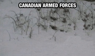 Name:  canadian-armed-forces.jpg
Views: 207
Size:  24.7 KB