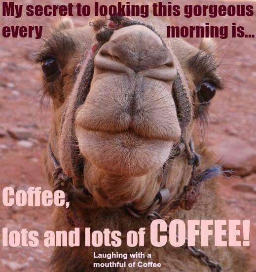 Name:  215689-Hump-Day-Camel-Funny-Wednesday-Coffee-Quote.jpg
Views: 224
Size:  41.6 KB
