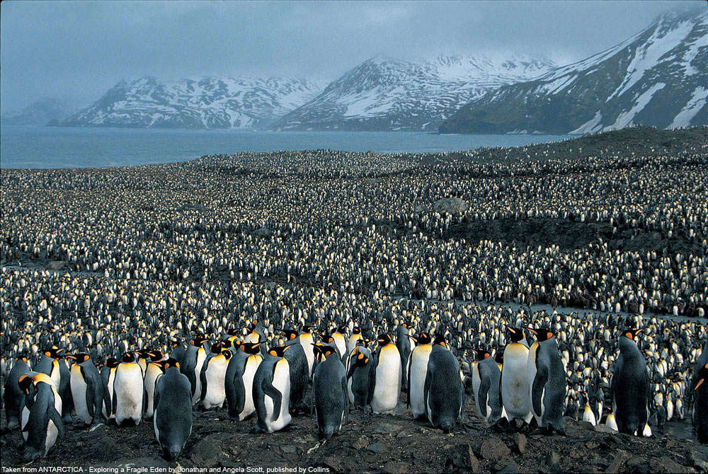 Name:  image007.jpg
Views: 163
Size:  191.3 KB