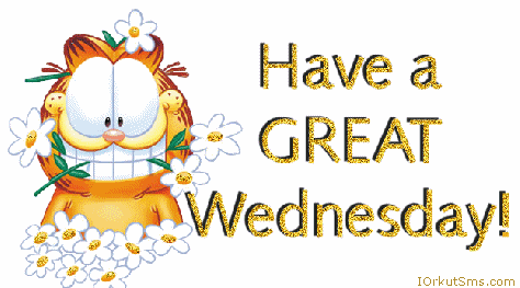 Name:  Great-Wednesday-greetings-from-garfield.gif
Views: 129
Size:  29.6 KB