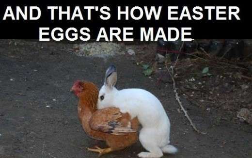 Name:  and_thats_how_easter_eggs_were_made-49012.jpg
Views: 220
Size:  22.3 KB