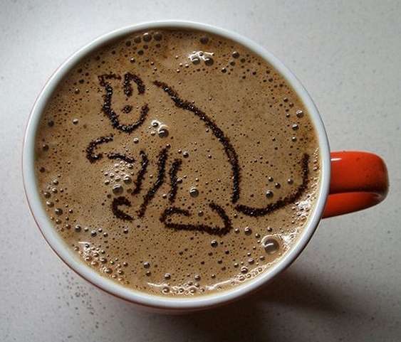 Name:  caturday coffee.jpg
Views: 168
Size:  63.8 KB