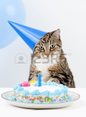 Name:  4694004-cat-happy-birthday-party.jpg
Views: 219
Size:  27.8 KB