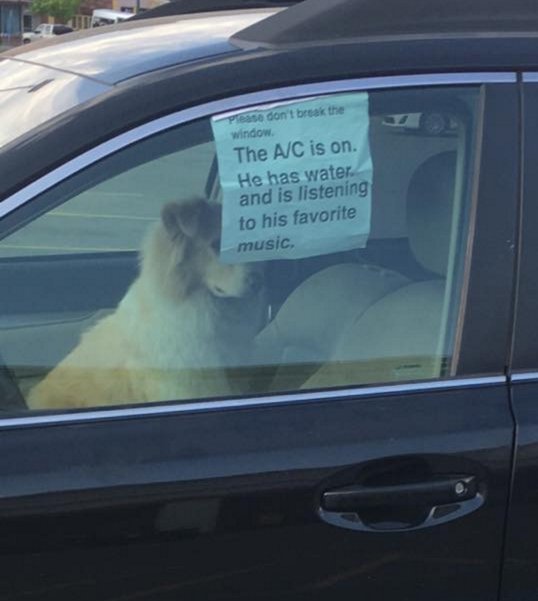 Name:  ac dog.jpg
Views: 99
Size:  37.5 KB