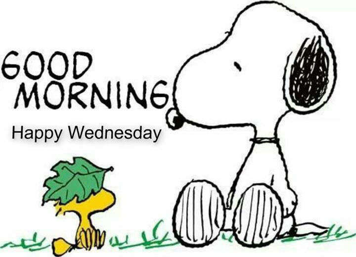 Name:  snoopy-good-morning-happy-wednesday-pictures-photos-and-images-for-YGgIT1-quote.jpg
Views: 339
Size:  41.7 KB