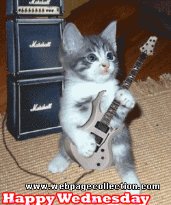 Name:  Kitty-playing-guitar-on-wednesday.gif
Views: 114
Size:  55.2 KB