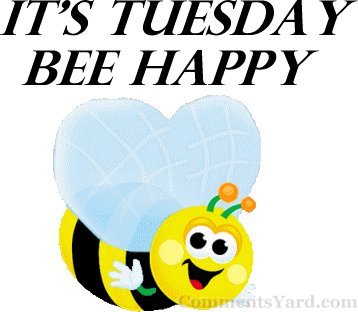 Name:  tuesday-day-review-popular-opinions-with-chaz-kangas-3mxFI3-clipart.jpg
Views: 132
Size:  24.9 KB