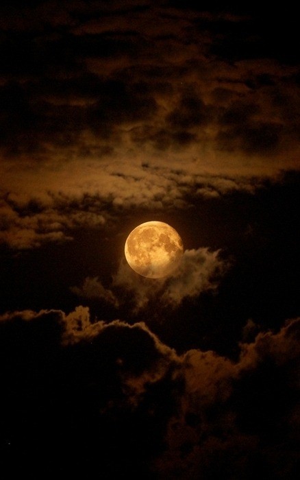 Name:  moonlit night.jpg
Views: 119
Size:  44.6 KB