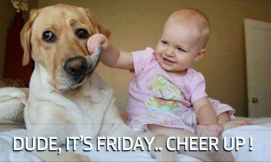 Name:  cheer up it's friday.jpg
Views: 106
Size:  26.3 KB