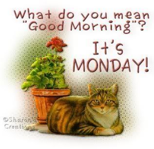Name:  267779-What-Do-You-Mean-Good-Morning-Its-Monday.jpg
Views: 233
Size:  21.7 KB