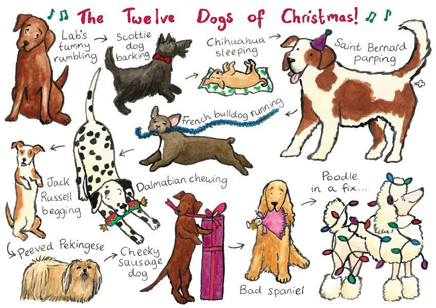Name:  12 dogs of Christmas.jpg
Views: 194
Size:  179.5 KB