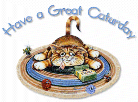 Name:  saturday_105467_have_a_great_caturday_56333.gif
Views: 101
Size:  193.0 KB