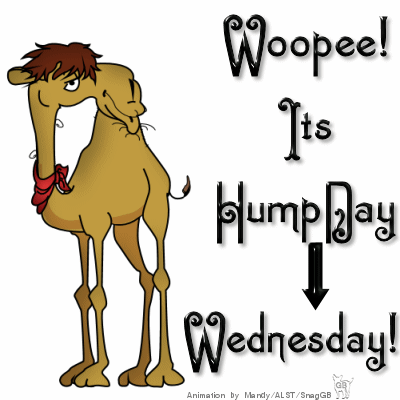 Name:  250390-Woopee-It-s-Hump-Day-Wednesday.gif
Views: 107
Size:  101.0 KB