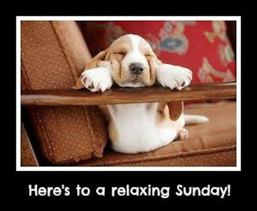 Name:  177075-Here-s-To-A-Relaxing-Sunday.jpg
Views: 105
Size:  38.5 KB