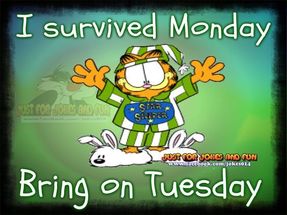 Name:  328219-I-Survived-Monday-Bring-On-Tuesday.jpg
Views: 101
Size:  50.0 KB