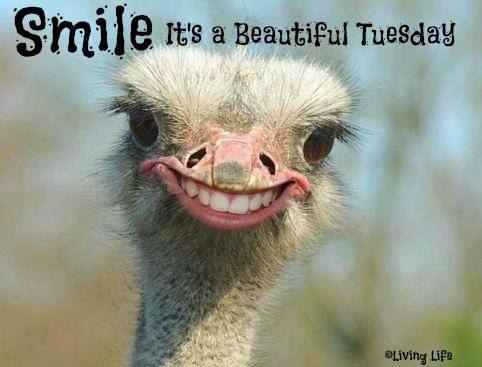 Name:  235703-Smile-Its-A-Beautiful-Tuesday.jpg
Views: 101
Size:  29.6 KB
