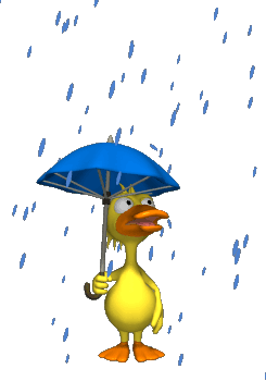 Name:  rainy-duck-Cj7pHm-clipart.gif
Views: 316
Size:  194.8 KB