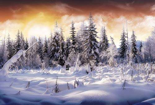 Name:  winter-graphics-22.jpg
Views: 335
Size:  29.9 KB